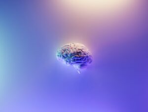 abstract photo of a brain against a purple background