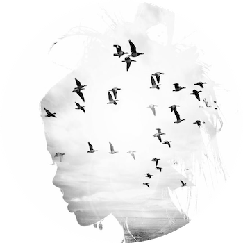 graphic of person's head with image overlaid of birds flying